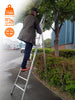 Fruit Picking / Hedge Trimming Ladder image 9