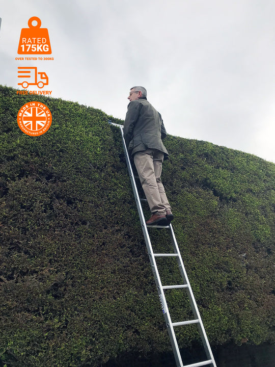 Hedge Trimming Ladder image 1