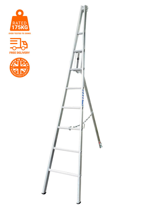 Fruit Picking / Hedge Trimming Ladder image 0