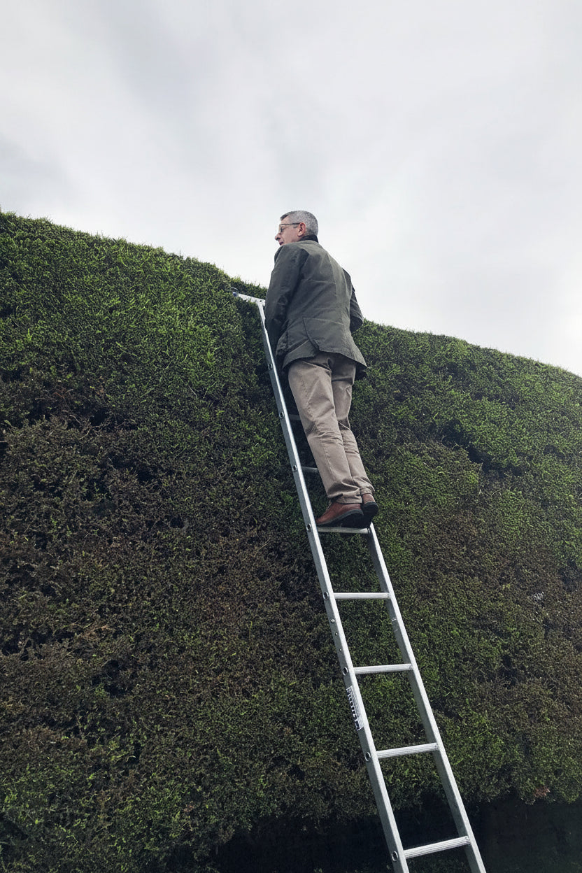 Hedge Trimming Ladder image 0