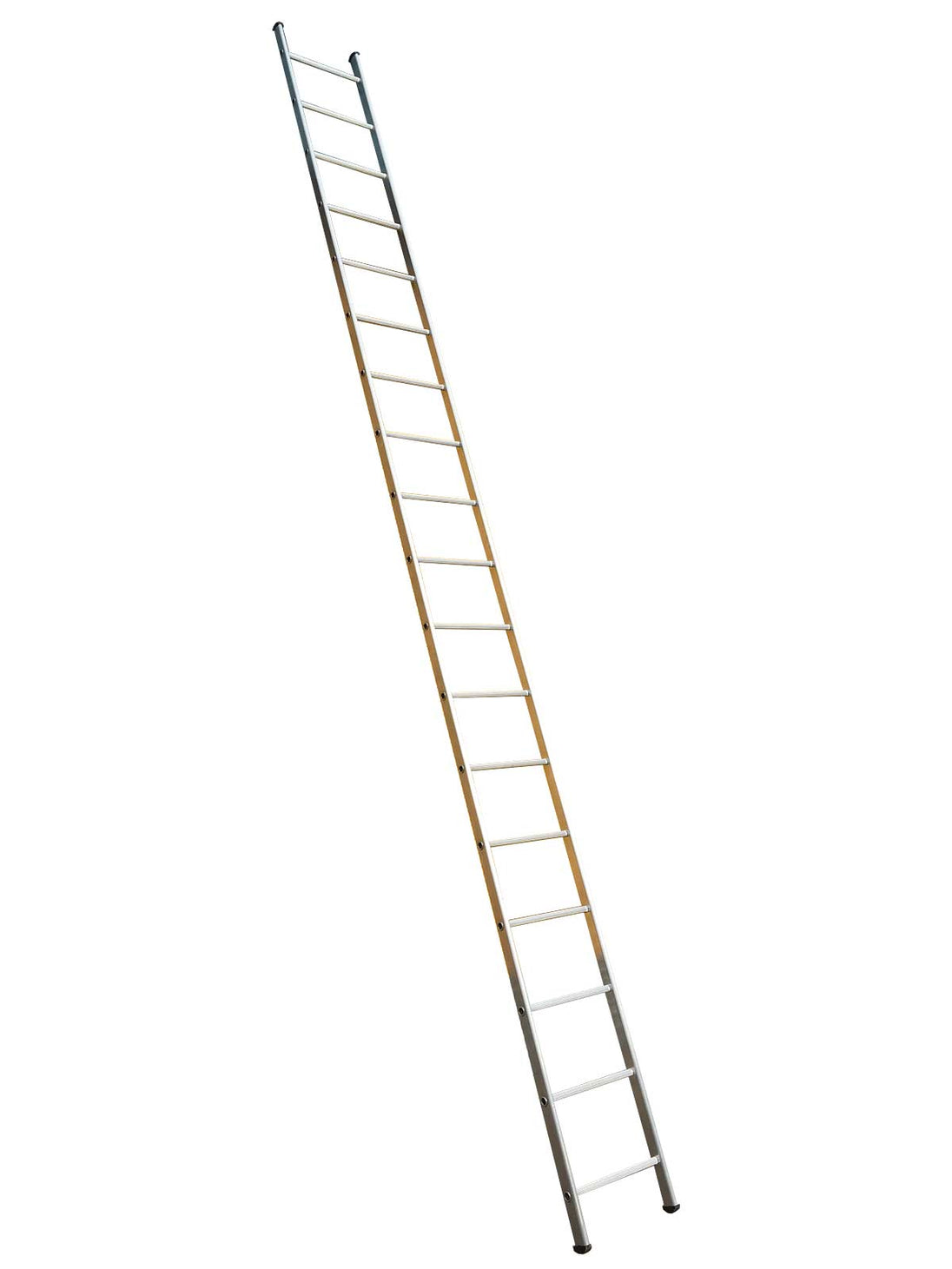 Single Section Ladders image 1