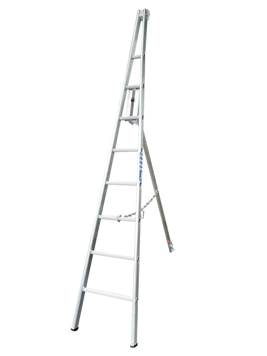 Fruit Picking / Hedge Trimming Ladder image 1