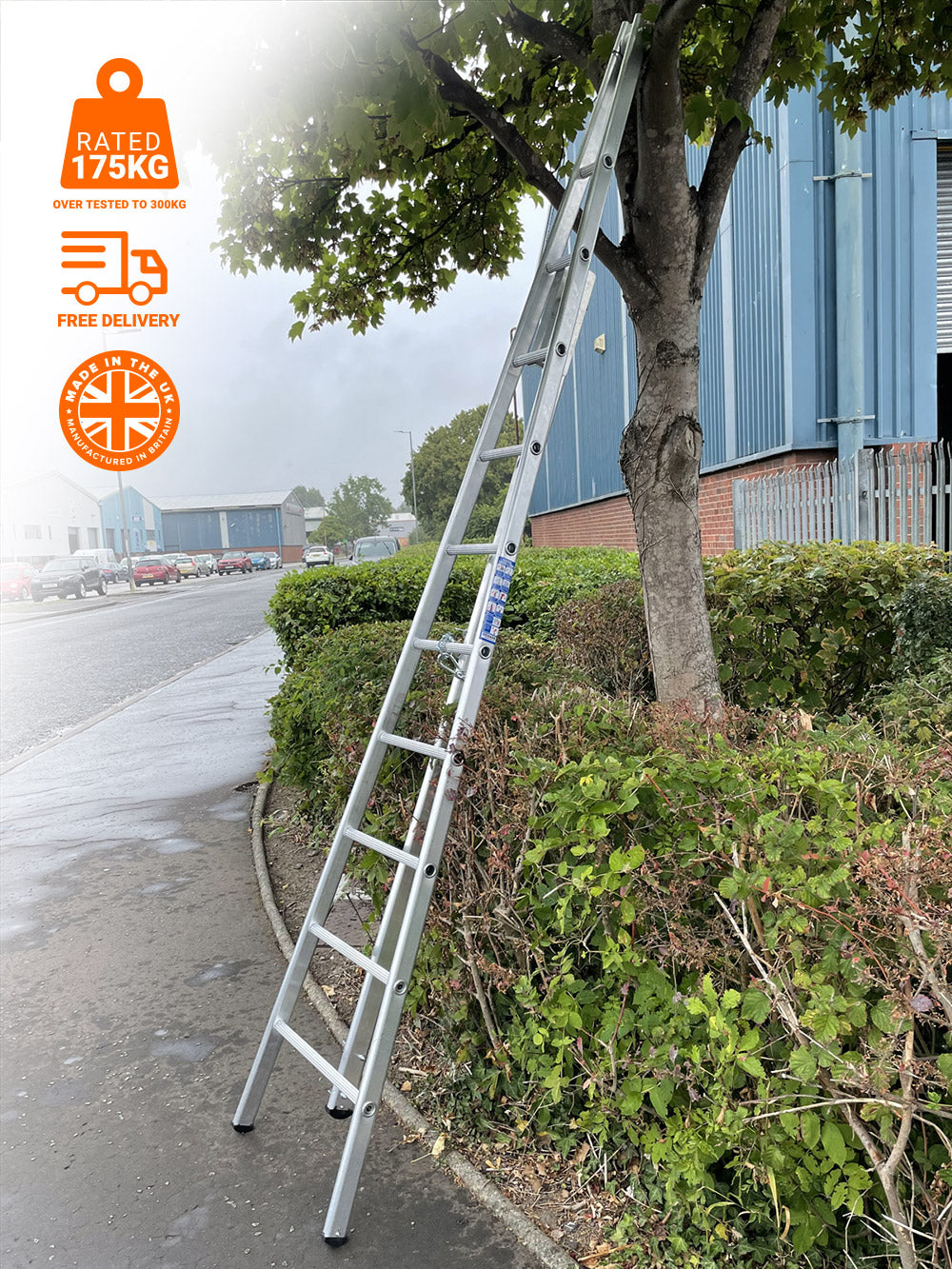 Fruit Picking / Hedge Trimming Ladder image 11
